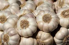 Fresh Onion